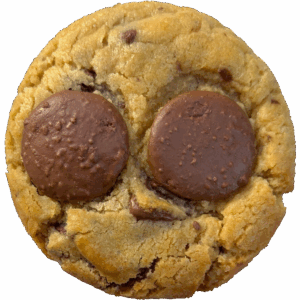 Belgian Chocolate Cookie